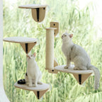 Steinway Cat Window Shelves 3 Piece Set
