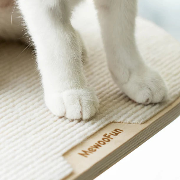 Steinway Cat Window Shelves 3 Piece Set